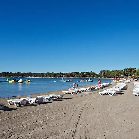 Maria Медулин